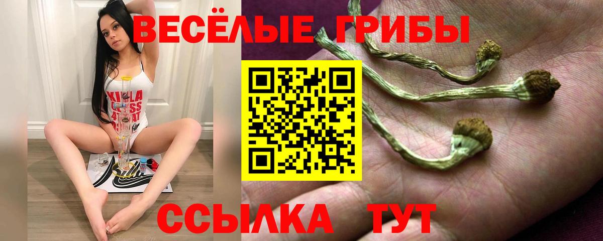 Псилоцибиновые грибы мицелий Дербент